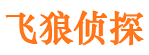 东西湖外遇出轨调查取证